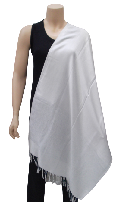 DSCF4976-removebg-preview